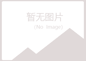 城固县山柏机械有限公司